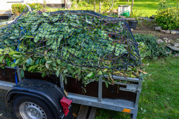 Best Shed Removal  in Groveport, OH